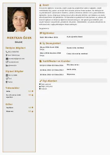 Dalgıç CV Örnekleri cv indir